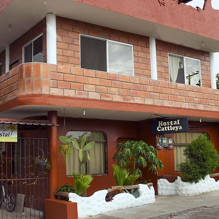 Hostal Cattleya 巴克里索莫雷诺港 外观 照片