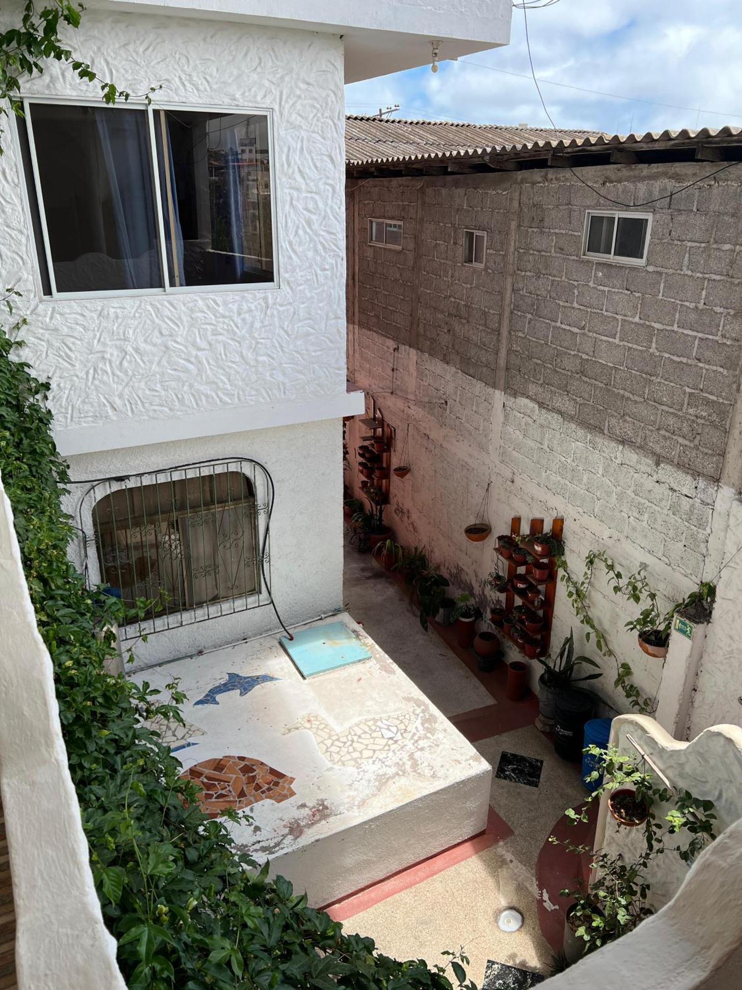 Hostal Cattleya 巴克里索莫雷诺港 外观 照片