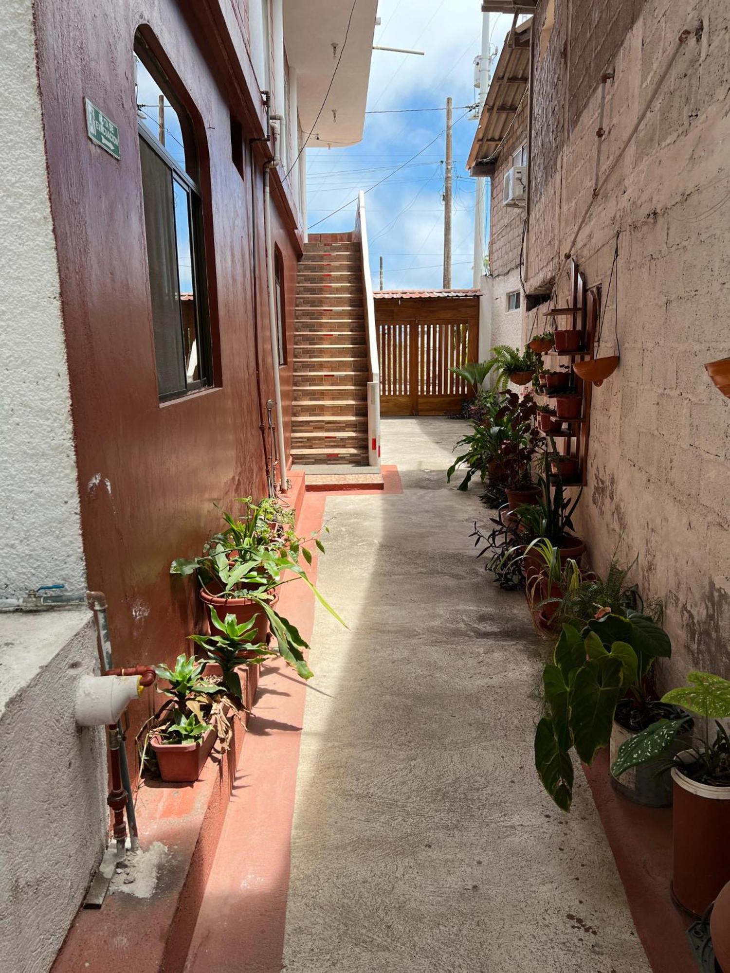 Hostal Cattleya 巴克里索莫雷诺港 外观 照片