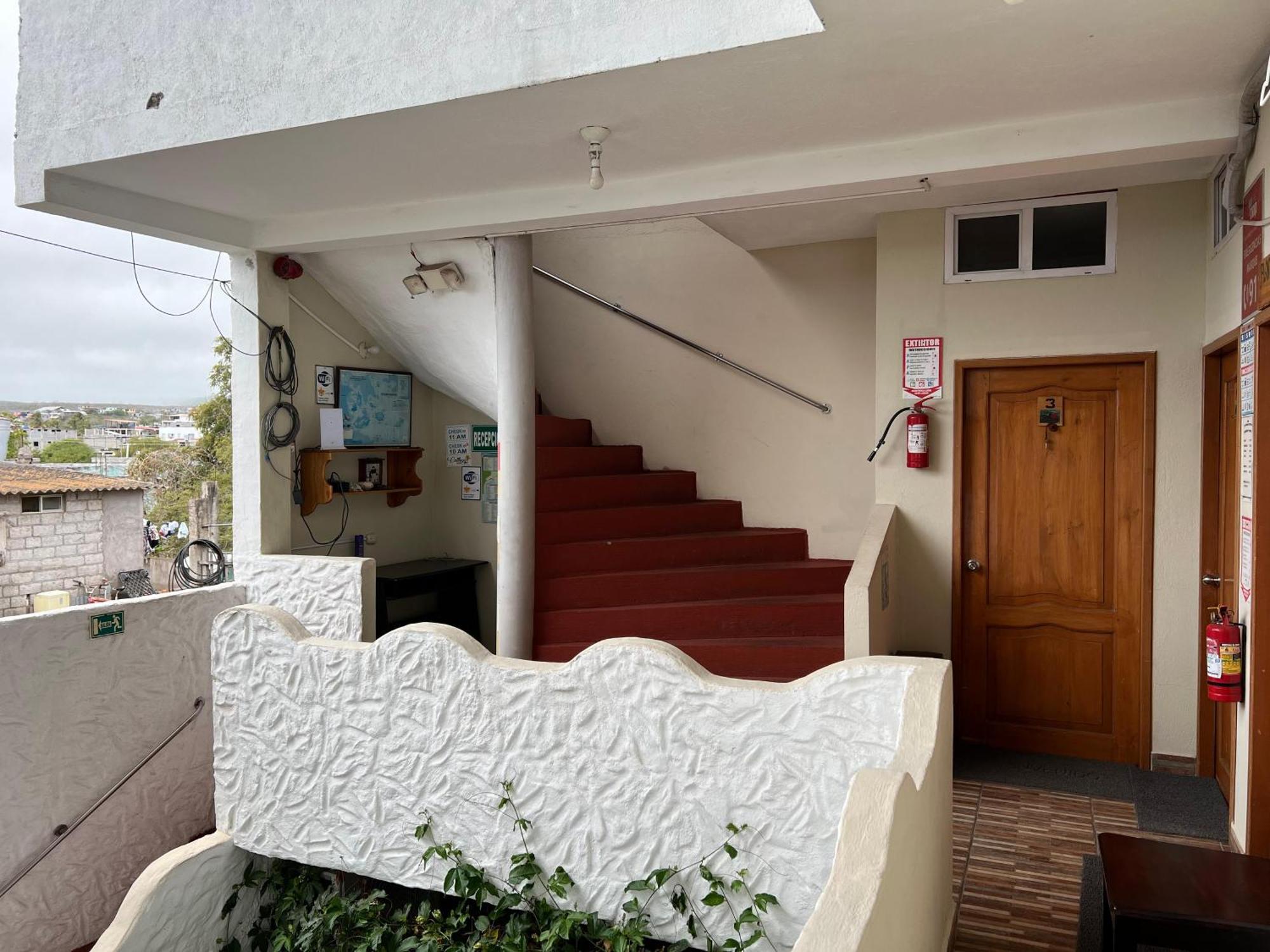 Hostal Cattleya 巴克里索莫雷诺港 外观 照片