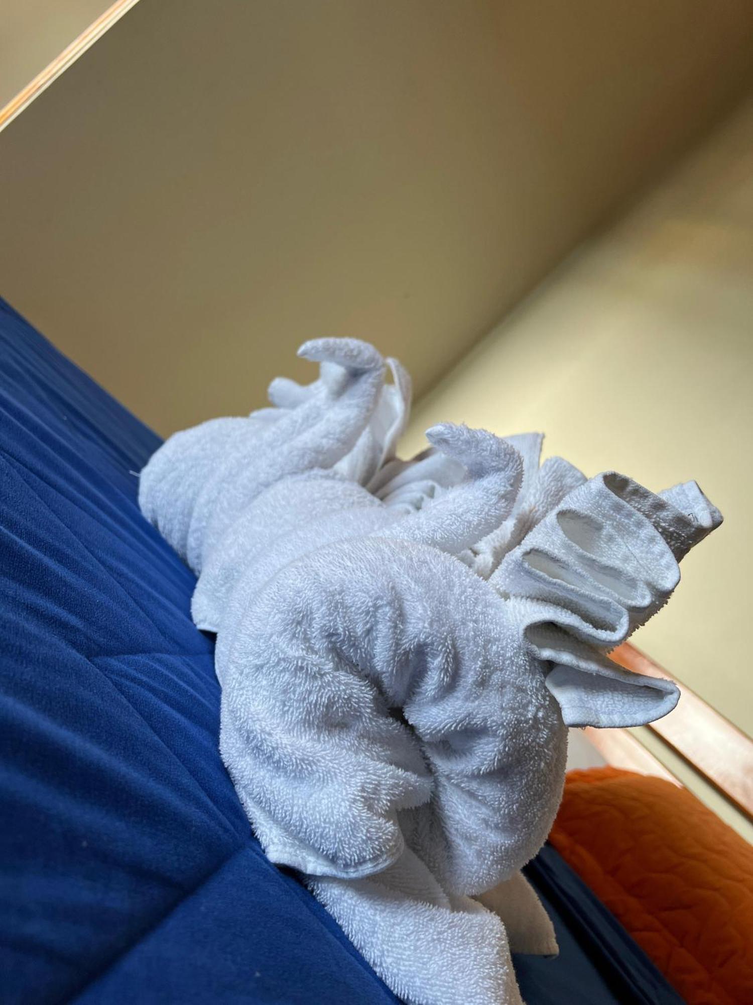 Hostal Cattleya 巴克里索莫雷诺港 外观 照片