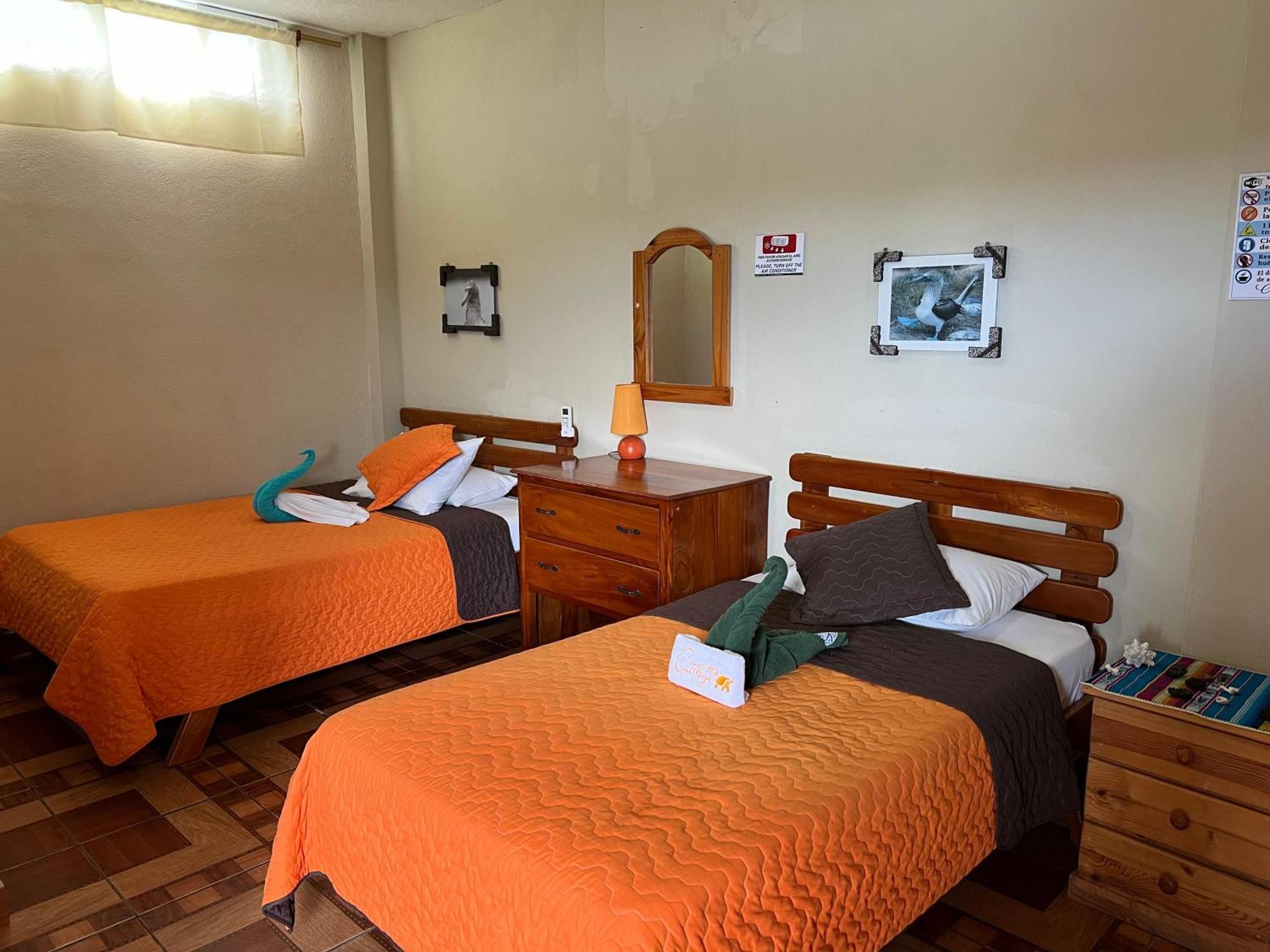 Hostal Cattleya 巴克里索莫雷诺港 外观 照片