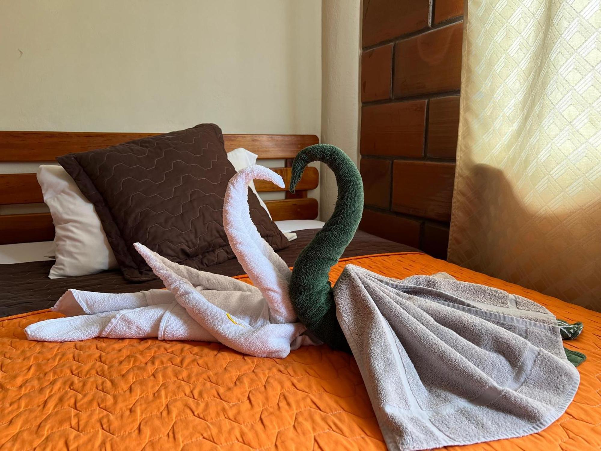 Hostal Cattleya 巴克里索莫雷诺港 外观 照片