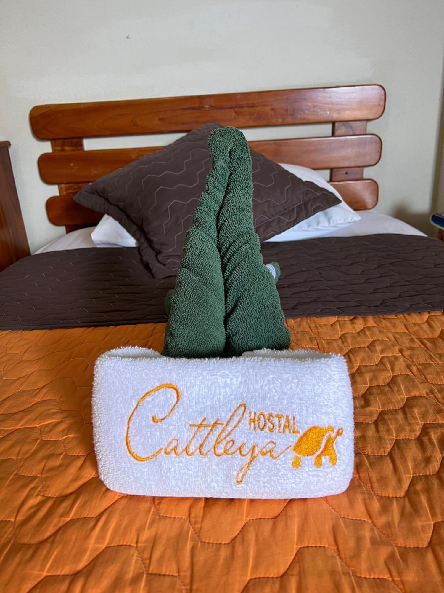 Hostal Cattleya 巴克里索莫雷诺港 外观 照片